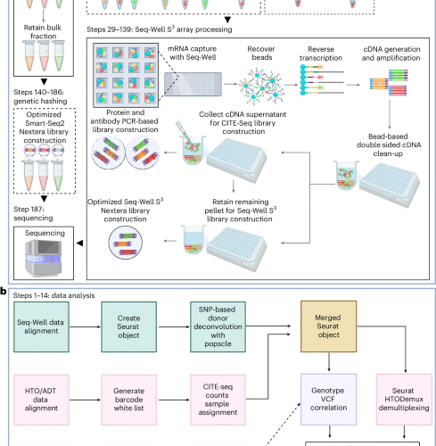 A scalable, low-cost, sample hashing workflow for multiomic single-cell analysis using the Seq-Well S3 platform