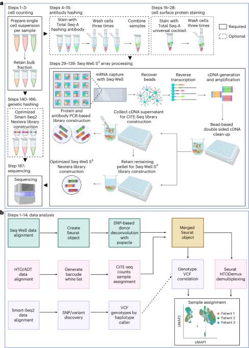 A scalable, low-cost, sample hashing workflow for multiomic single-cell analysis using the Seq-Well S3 platform