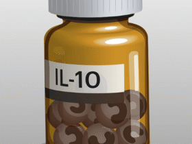 Androgens help monocytes deliver pain relief