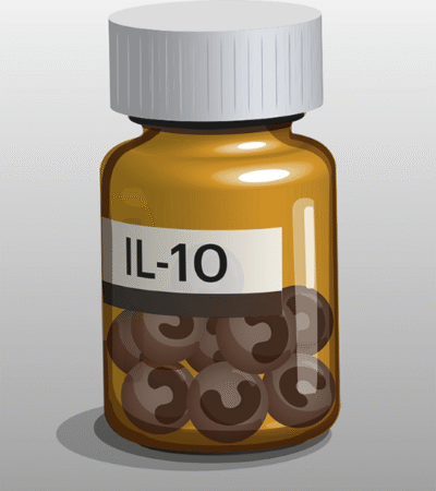 Androgens help monocytes deliver pain relief