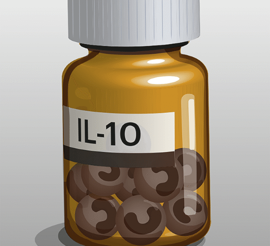 Androgens help monocytes deliver pain relief