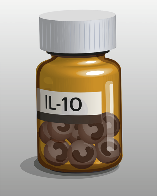 Androgens help monocytes deliver pain relief