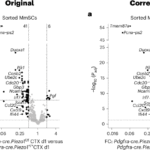 Author Correction: Piezo1-dependent activation of stromal cells ignites muscle inflammation in exercise and injury and is associated with inflammaging