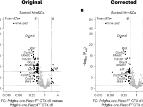 Author Correction: Piezo1-dependent activation of stromal cells ignites muscle inflammation in exercise and injury and is associated with inflammaging