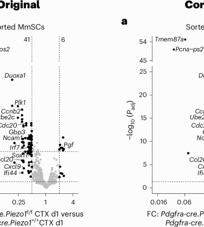 Author Correction: Piezo1-dependent activation of stromal cells ignites muscle inflammation in exercise and injury and is associated with inflammaging
