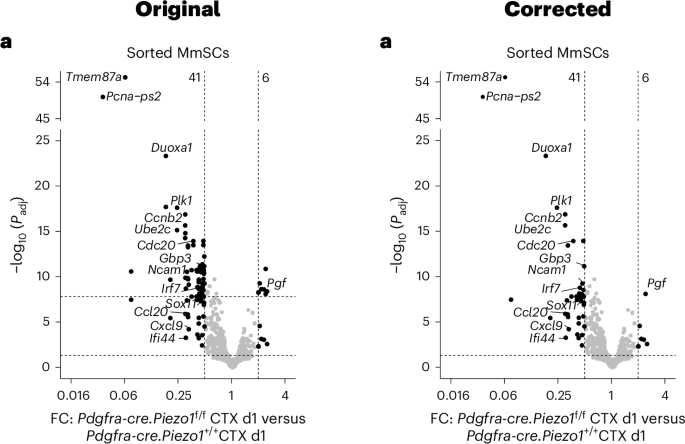 Author Correction: Piezo1-dependent activation of stromal cells ignites muscle inflammation in exercise and injury and is associated with inflammaging