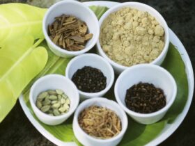 Ayurveda for Ulcerative Colitis: History, Benefit, Diet