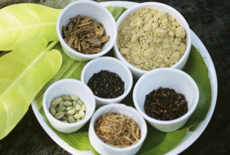 Ayurveda for Ulcerative Colitis: History, Benefit, Diet