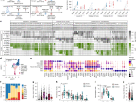 B cell imprinting in children impairs antibodies to the haemagglutinin stalk