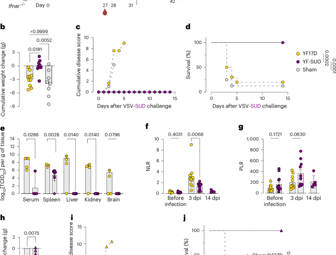 CD4+ T cell-mediated immunity protects from VSV-SUD lethal challenge in a mouse model of Sudan virus infection