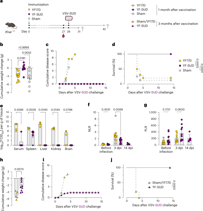 CD4+ T cell-mediated immunity protects from VSV-SUD lethal challenge in a mouse model of Sudan virus infection