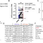 CD70/CD27 signaling promotes the pathogenesis of multiple myeloma and represents a promising therapeutic target