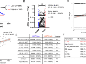 CD70/CD27 signaling promotes the pathogenesis of multiple myeloma and represents a promising therapeutic target