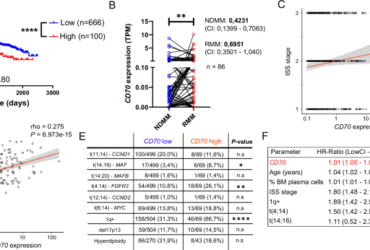 CD70/CD27 signaling promotes the pathogenesis of multiple myeloma and represents a promising therapeutic target