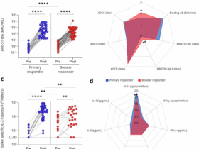COVID-19 boosters restore virus-specific immune responses in kidney transplant recipients unresponsive to primary vaccination