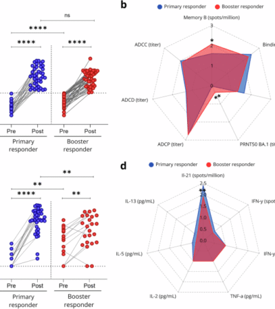 COVID-19 boosters restore virus-specific immune responses in kidney transplant recipients unresponsive to primary vaccination