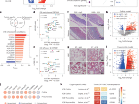 CRTAM inhibition mitigates toxicity of immune checkpoint inhibitors without antitumor efficacy trade-off