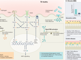 Commensals join the effector game