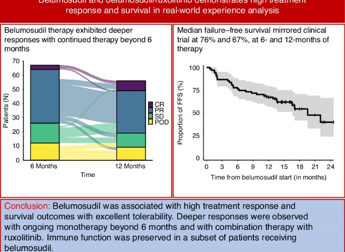 Correction: Real-world experience of belumosudil and belumosudil/ruxolitinib combination in steroid-refractory chronic graft-versus-host disease