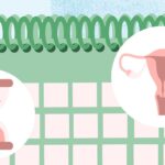 hourglass, calendar, uterus concept illustration about perimenopause