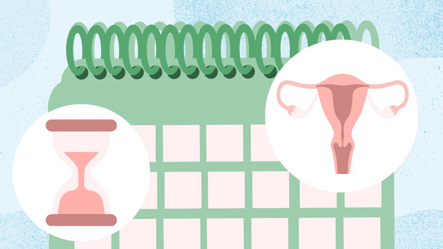 hourglass, calendar, uterus concept illustration about perimenopause