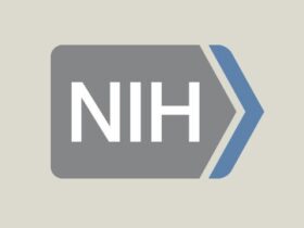 Dr. Elisabeth Armstrong named NIH Chief of Staff 