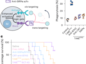 Engineering macrophage-targeted trispecific immune cell engagers for tumor immunotherapy