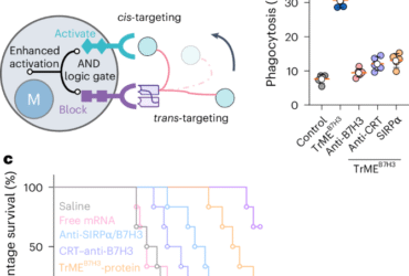 Engineering macrophage-targeted trispecific immune cell engagers for tumor immunotherapy