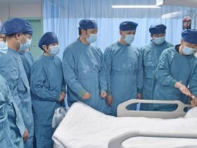 Genetically modified pig liver keeps man alive until human organ transplant