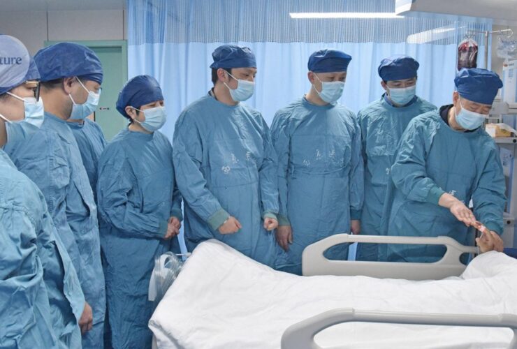 Genetically modified pig liver keeps man alive until human organ transplant