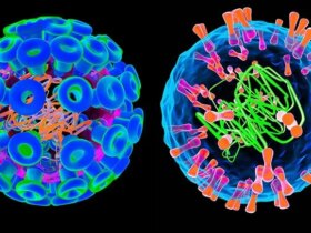 Genital Herpes Causes: HSV-1 and HSV-2