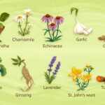 Health Benefits of 10 Healing Herbs