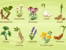 Health Benefits of 10 Healing Herbs