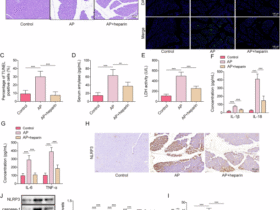 Heparin inhibits NLRP3-dependent pyroptosis in acute pancreatitis