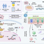 High-salt diet aggravates allergic rhinitis through the NFAT5 signaling pathway