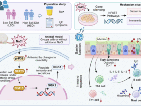 High-salt diet aggravates allergic rhinitis through the NFAT5 signaling pathway