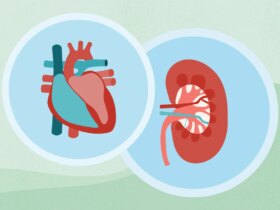 CKD and Your Heart: How Chronic Kidney Disease Affects Cardiovascular Health