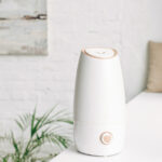 How To Thoroughly Clean Your Humidifier (Because It's Probably Time)