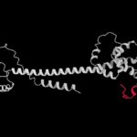 Identification and characterization of dietary antigens in oral tolerance | Science Immunology