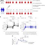 Improved VSV-Ebola-GP booster vaccination approach promotes antibody affinity maturation and durable anti-Ebola immunity in humans