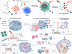 In situ-generated vaccine-like pyroptosome for personalized cancer immunotherapy