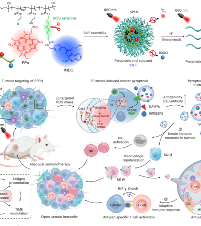 In situ-generated vaccine-like pyroptosome for personalized cancer immunotherapy