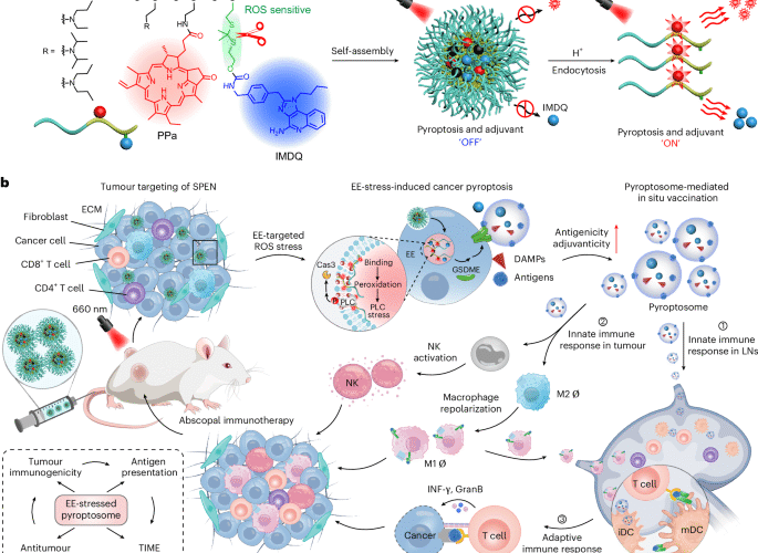 In situ-generated vaccine-like pyroptosome for personalized cancer immunotherapy