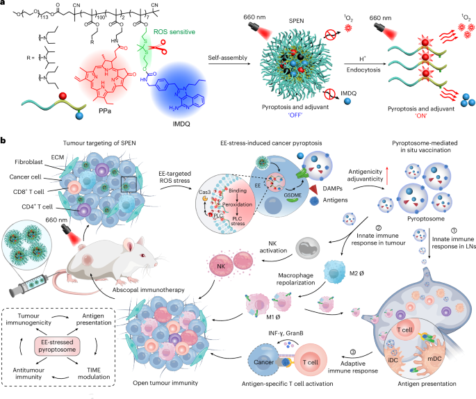 In situ-generated vaccine-like pyroptosome for personalized cancer immunotherapy