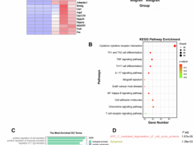Inhibition of cGAS in dendritic cells suppresses maturation and prolongs allograft survival in mice