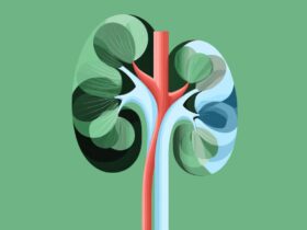 Kidney Transplant for C3G/IC-MPGN: What You Need to Know