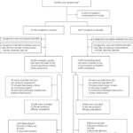 Long-term efficacy and safety of the single-dose tetravalent Butantan dengue vaccine