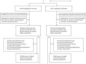Long-term efficacy and safety of the single-dose tetravalent Butantan dengue vaccine