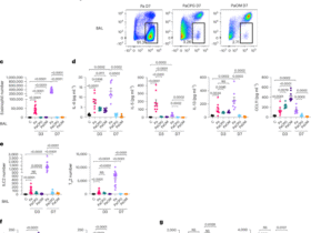 Long-term inhibition of protease hypersensitivity by initial immunological cross-regulation and epigenetic memory in lung stromal cells