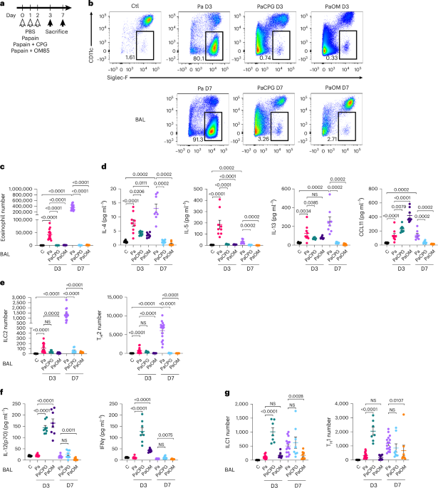 Long-term inhibition of protease hypersensitivity by initial immunological cross-regulation and epigenetic memory in lung stromal cells